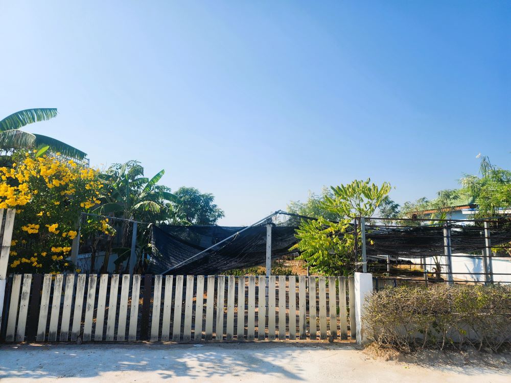 บ้านเดี่ยวสุดคุ้ม! ที่ดินใหญ่ 131 ตร.วา ใกล้ค่ายทหาร บรรยากาศสงบ ปลอดภัย